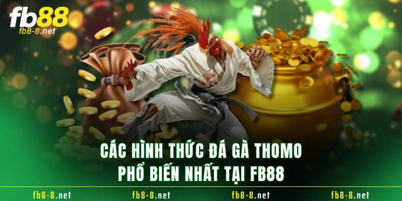 Các hình thức đá gà Thomo phổ biến nhất tại FB88